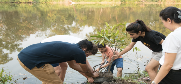 Tree Planting (August 2019)